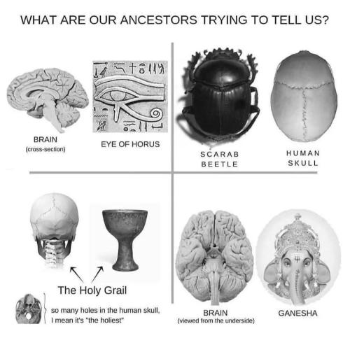 Screenshot_2022-11-11-03-02-12-43_1c337646f29875672b5a61192b9010f9