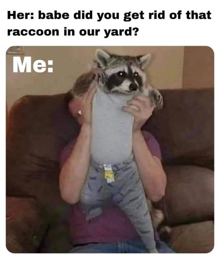 FB_IMG_1668798055198