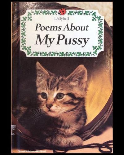 316101367_501021045386586_364763166513576837_n