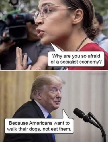 FB_IMG_1668531121908
