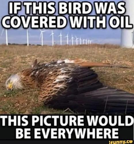 42501069-3854-480e-a5ba-7a53c19bc1f0