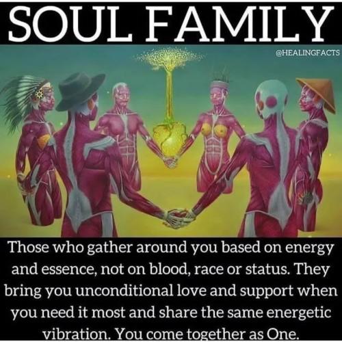 Screenshot_2022-11-23-20-49-59-61_1c337646f29875672b5a61192b9010f9