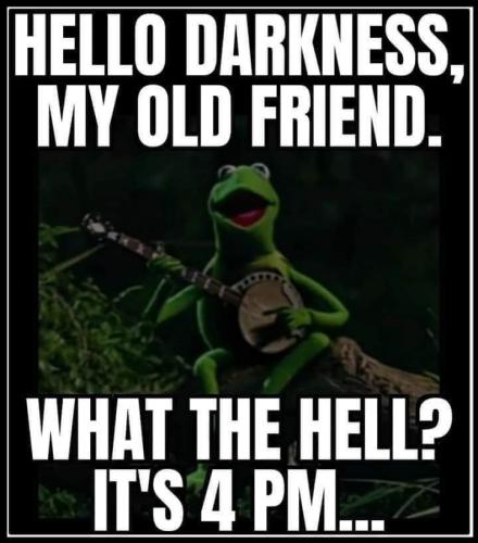 FB_IMG_1668193608165