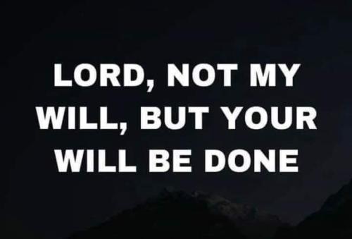 FB_IMG_1667431048518