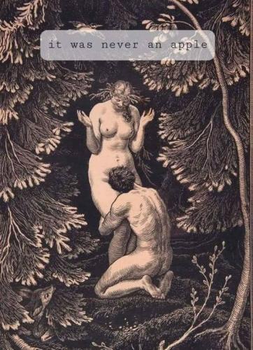 tumblr_b924006b2227bc886623555d5d5ddfcb_94927ae0_540