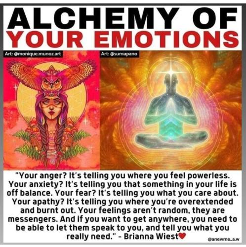 Screenshot_2022-11-11-03-04-47-69_1c337646f29875672b5a61192b9010f9