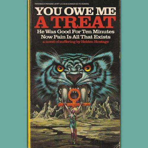 313410186_2355770231228073_7235654545393464689_n