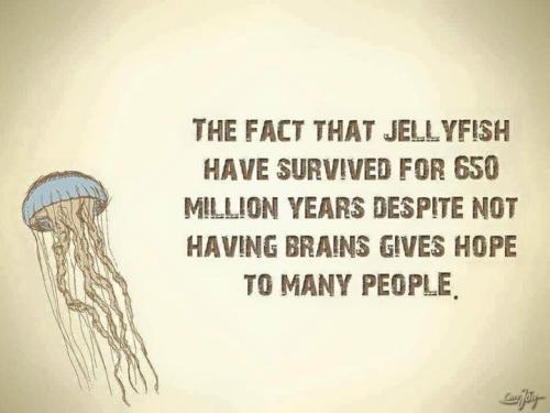 311716881_10222562695440971_5458365359549075313_n