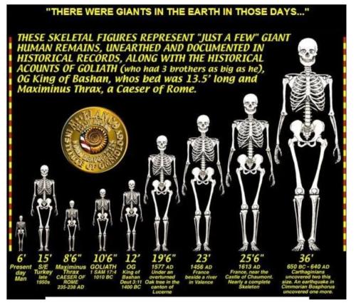 Screenshot_2022-11-13-05-33-21-17_1c337646f29875672b5a61192b9010f9