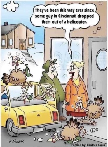 B1AA5E87-09F6-4A09-BEAF-DA19CE03DFA6