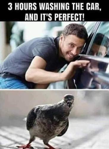 FB_IMG_1669308496328