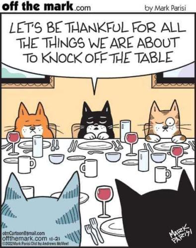 Cats Thanksgiving dinner: let's be thankful for all the things we are about to knock off the table
