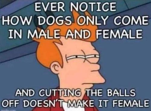 FB_IMG_1667445942923