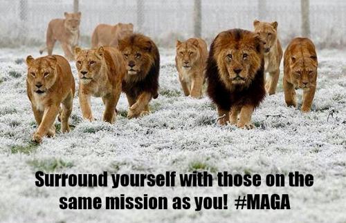 A59CF810-340D-4DC3-9403-F4C6C0FDF418