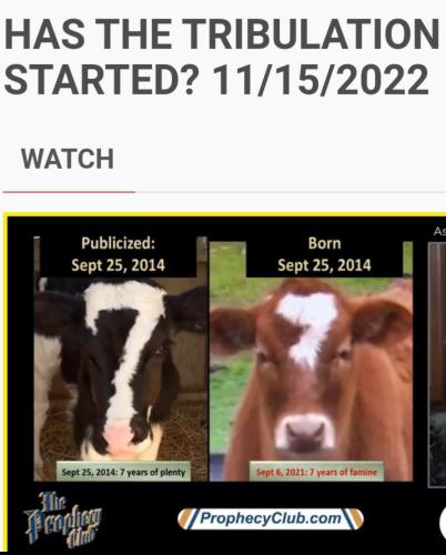 11:00:09 GMT-0500 (EST)