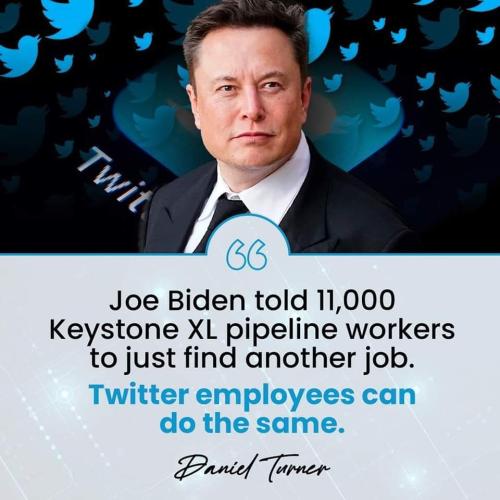 FB_IMG_1667697354672