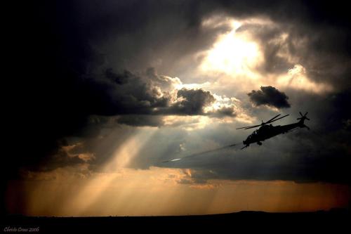 314890024_193759883178849_71151004242706864_n