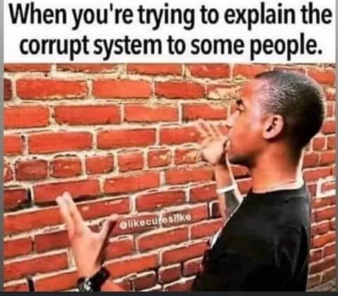 FB_IMG_1668563808887