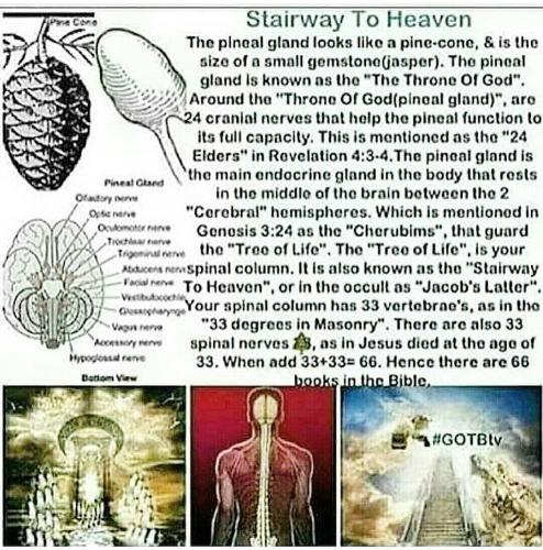 Screenshot_2022-11-26-09-03-07-80_1c337646f29875672b5a61192b9010f9