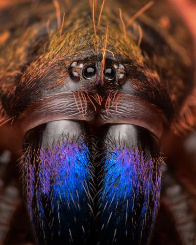 316826552_644347224017582_7902995496988312596_n