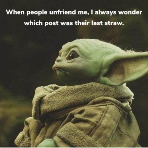 314510558_1282483292516744_4987252397552325358_n