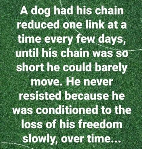 3fc8cc0d-8550-4109-bbba-942d1a6666b2