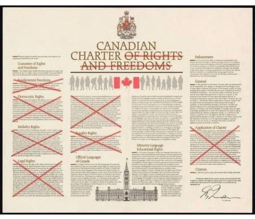 Screenshot_2022-11-24-21-51-49-33_1c337646f29875672b5a61192b9010f9