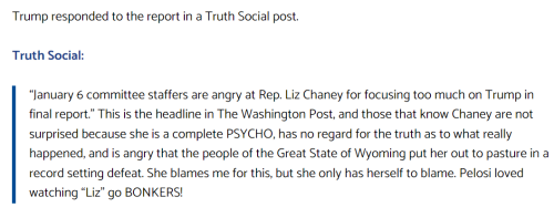 Cheney 3