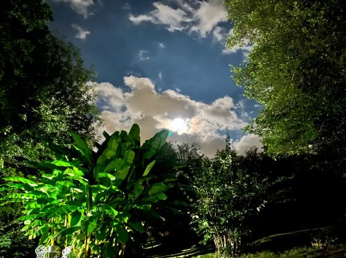 5AD85308-ED36-4899-ABD0-F0248D8A2A94