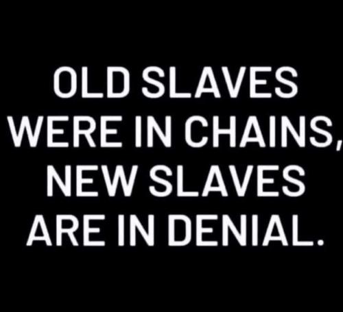 Screenshot_2022-11-11-00-36-01-21_1c337646f29875672b5a61192b9010f9