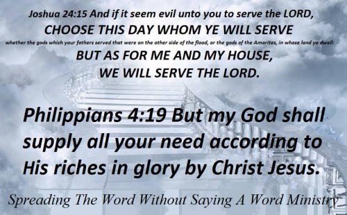 311133989_625251429281129_8141879981761454318_n