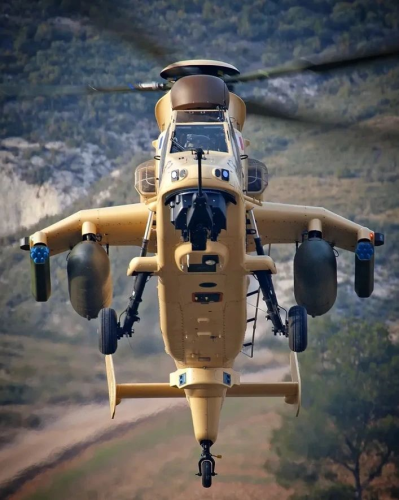 315091779_3347032618903292_5502746102709651748_n