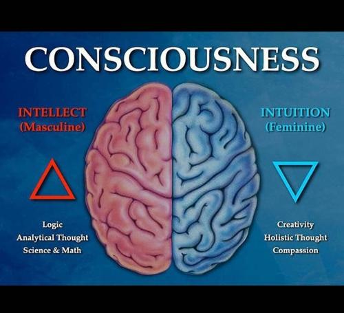 Screenshot_2022-11-26-08-34-13-96_1c337646f29875672b5a61192b9010f9