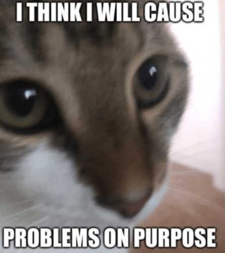 12:03:12 GMT-0500 (Eastern Standard Time).image