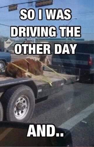 314637708_5998838426815571_3687699006609307544_n