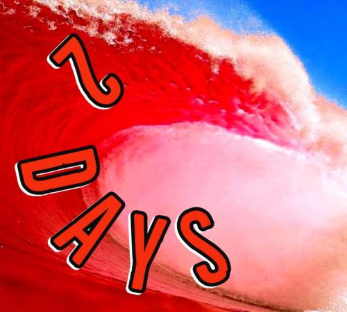 FB_IMG_1667776528278