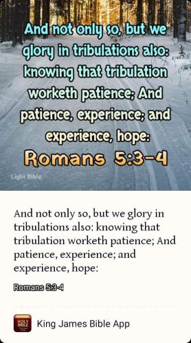 FB_IMG_1668154829961