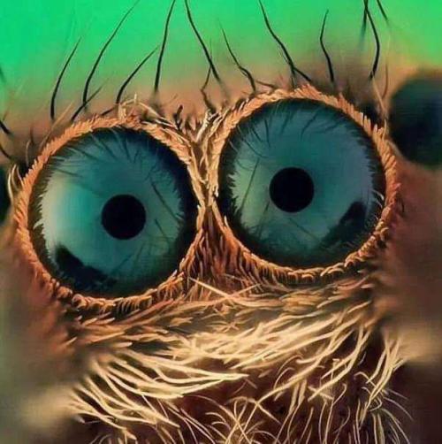 80d1f604-60e1-4614-8960-7cd8d0d0e238