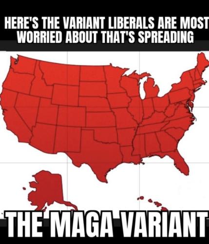 MAGA 2