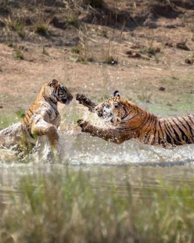 tumblr_8cc42a21620d280c39b8458b64ead978_3cea61f2_540