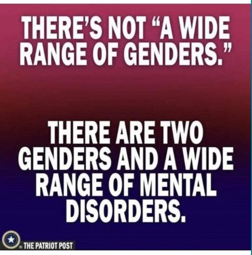 FB_IMG_1667770511866