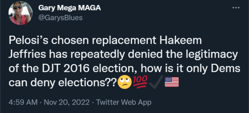 Election Denier 1