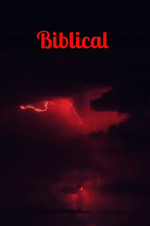 GifMeme18343513032022