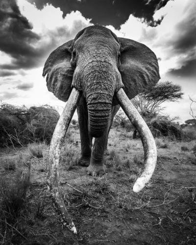 tumblr_e62a1a16fb6ed8721ea42d4aabdc7793_a1cadd32_540