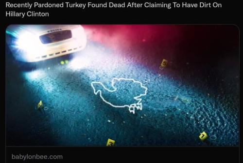 FB_IMG_1669301664109