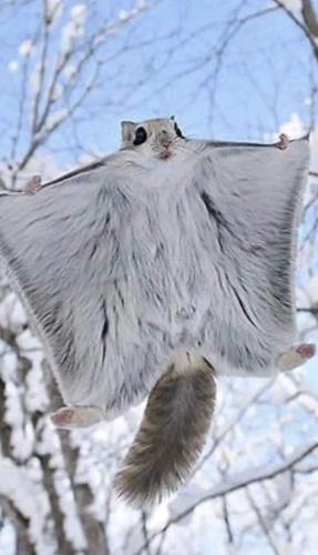 316549249_5548497411935068_4567786707209013488_n