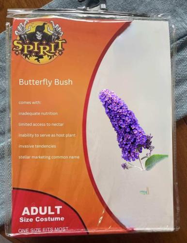 c39d83f6-675a-41e4-8949-7c34a2776bb4