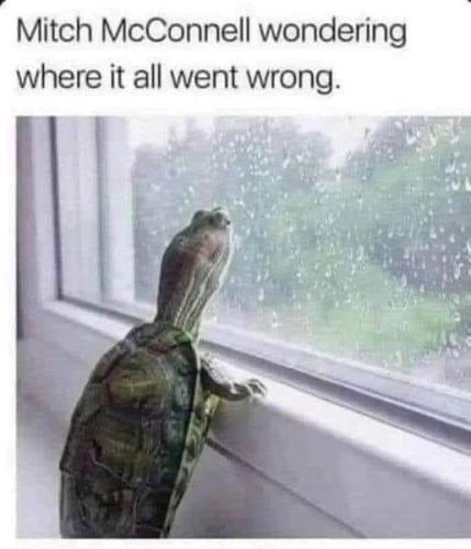 McConnell 1