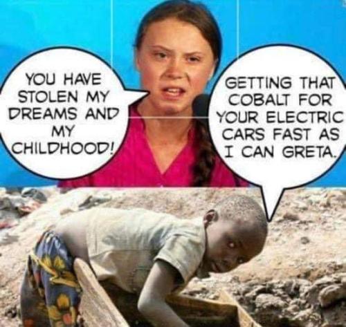 Progressive White Priveledge 1