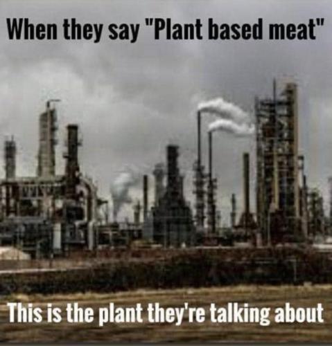 photo_2022-11-04_19-27-39